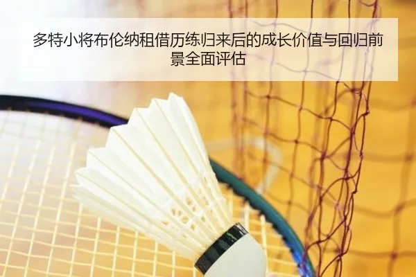 多特小将布伦纳租借历练归来后的成长价值与回归前景全面评估